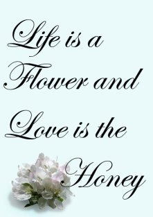 sweet love sayings life is a flower