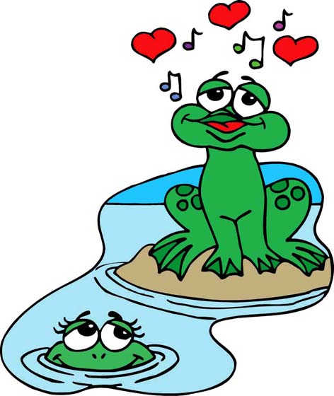 Frogs in love