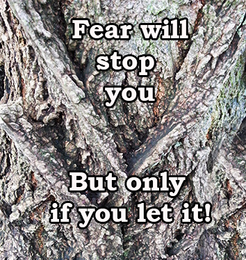 fear and personal development