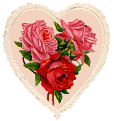 soft red heart roses