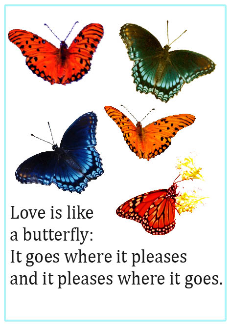 cute love sayings butterflies and text