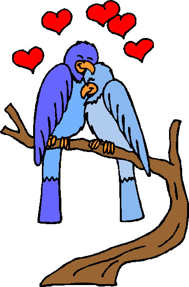 birds in love