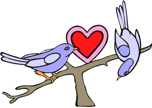 love heart drawings lovebirds with heart